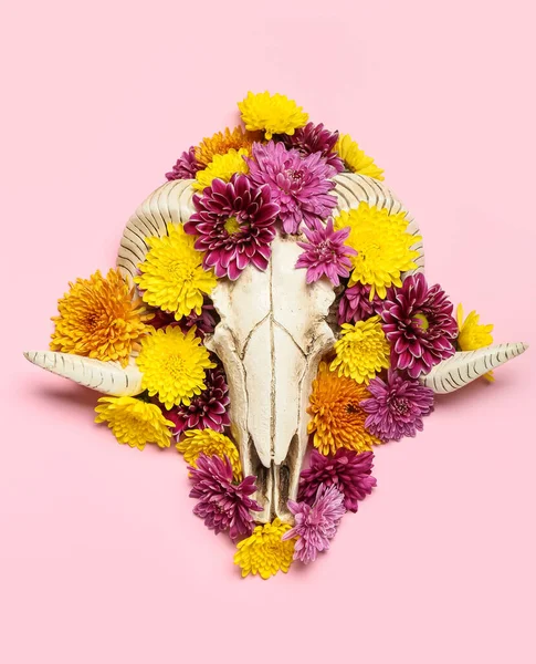 Pembe Arka Planda Çiçekli Koyun Kafatası — Stok fotoğraf