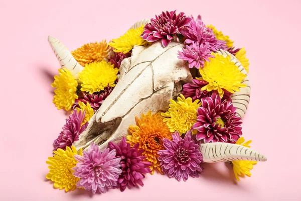 Skull Sheep Flowers Pink Background Closeup — Stock fotografie