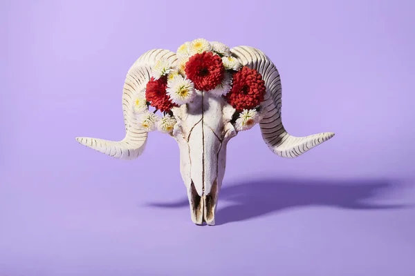 Skull Sheep Flowers Purple Background — Fotografia de Stock