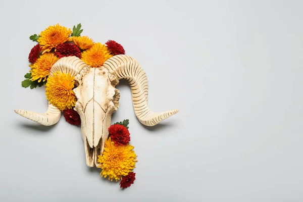 Skull Sheep Flowers Grey Background — Stock fotografie