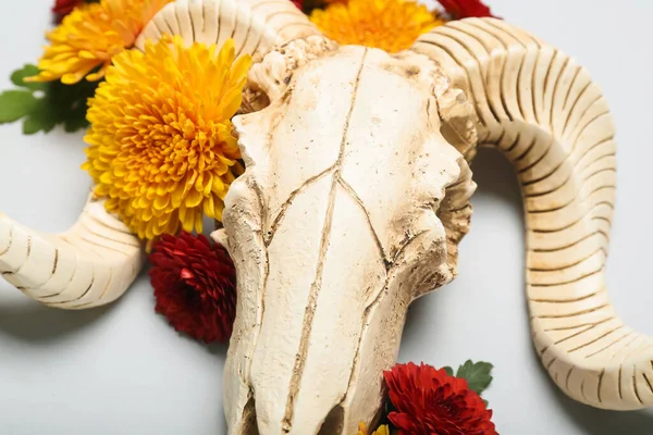 Skull Sheep Flowers Grey Background Closeup — 스톡 사진