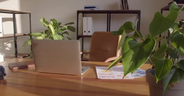 Workplace Laptop Modern Office — Stock Video