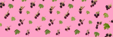 Many ripe black currant on pink background. Pattern for design