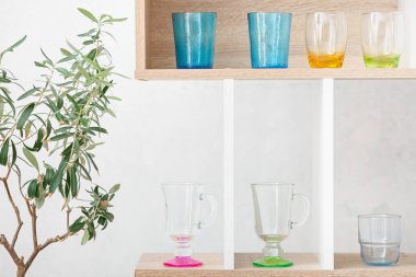 Ahşap raf ünitesinde farklı modern bardaklar ve beyaz duvarın yanındaki ev bitkisi.