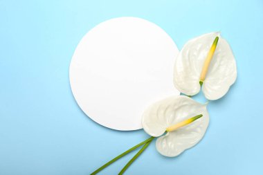 Güzel anthurium çiçekleri ve mavi arkaplanda boş bir kart