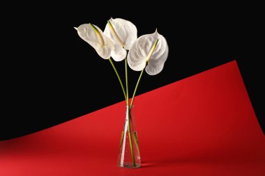 Renkli arkaplanda güzel anthurium çiçekleri olan cam vazo