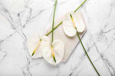 Işık arkaplan üzerinde güzel anthurium çiçekleri olan tahta