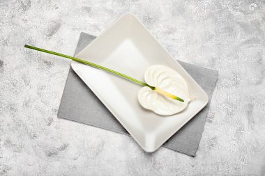 Işık arka planında güzel bir anthurium çiçeği olan plaka