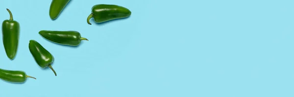 Green Jalapeno Peppers Light Blue Background Space Text Top View — Stock Photo, Image