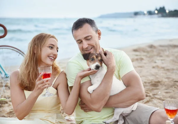 Mature Couple Dog Having Picnic Sea Summer Day — Stockfoto