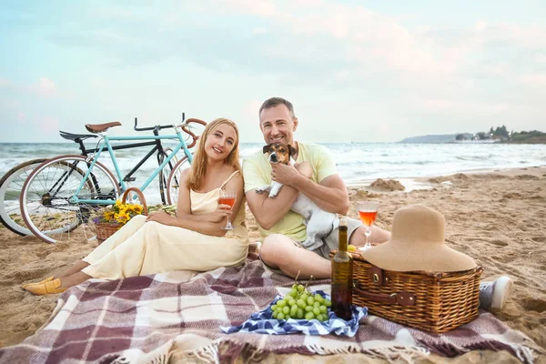 Köpekli olgun bir çift yaz günü deniz kenarında piknik yapıyor.