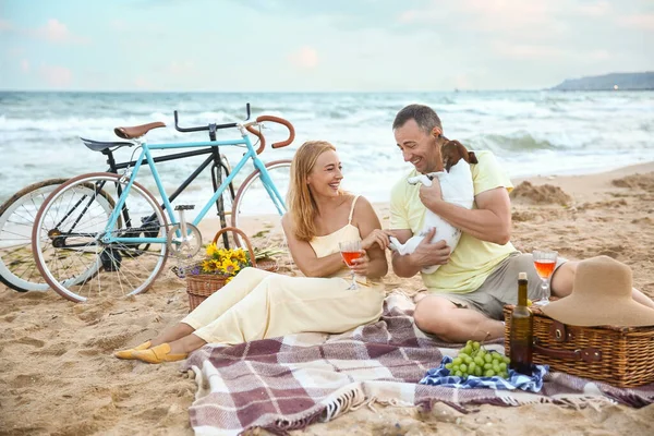 Älteres Paar Mit Hund Beim Picknick Meer Einem Sommertag — Stockfoto