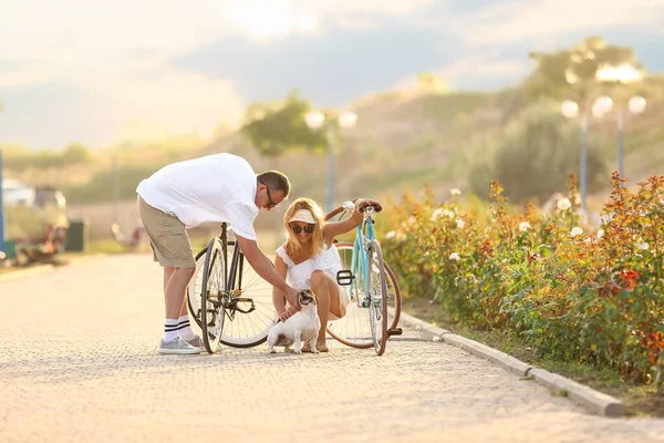 Couple Âge Mûr Avec Vélos Promenades Chien Dans Parc Ville — Photo