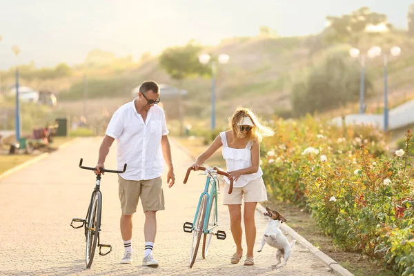 Couple Âge Mûr Avec Vélos Promenades Chien Dans Parc Ville — Photo