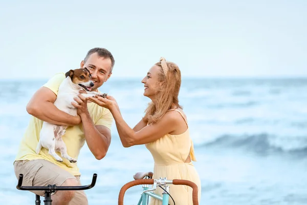 Couple Âge Mûr Avec Vélos Chien Marchant Long Plage Mer — Photo