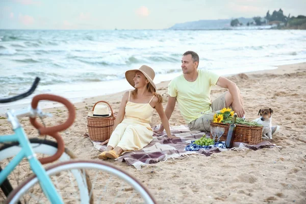夏の日に海の近くでピクニックをしている熟女カップル — ストック写真