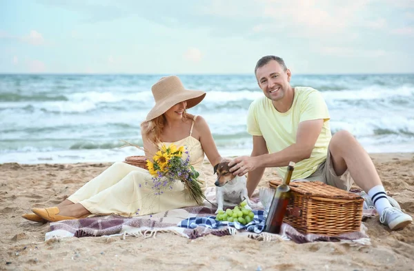 Köpekli olgun bir çift yaz günü deniz kenarında piknik yapıyor.