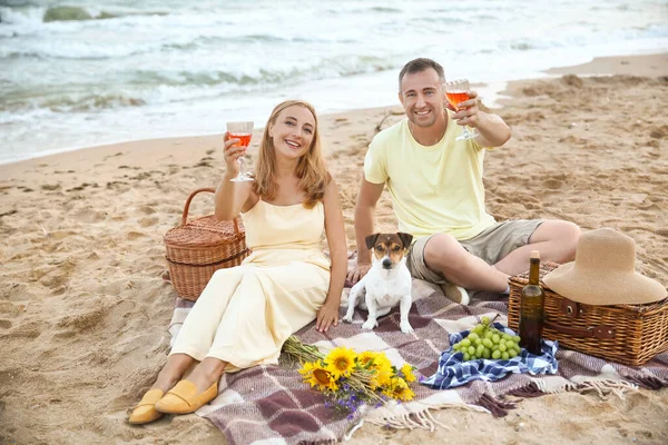 Mature Couple Dog Having Picnic Sea Summer Day — Stockfoto