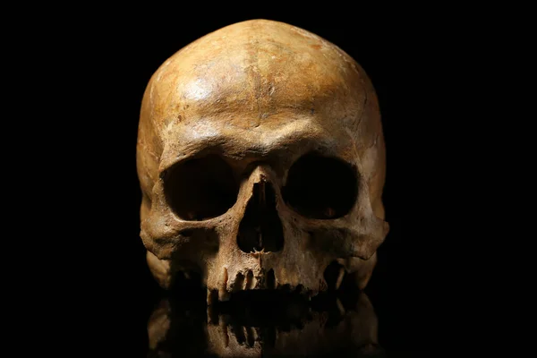 Ancient Human Skull Black Background — Fotografia de Stock