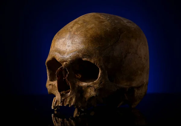 Ancient Human Skull Black Background — Zdjęcie stockowe