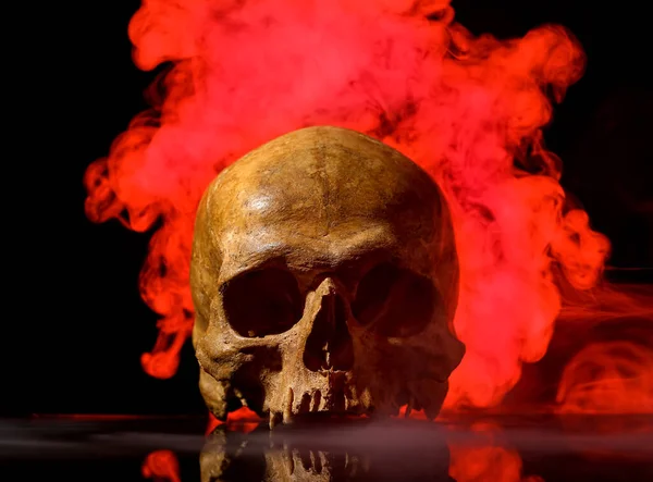 Human Skull Smoke Black Background — Foto Stock