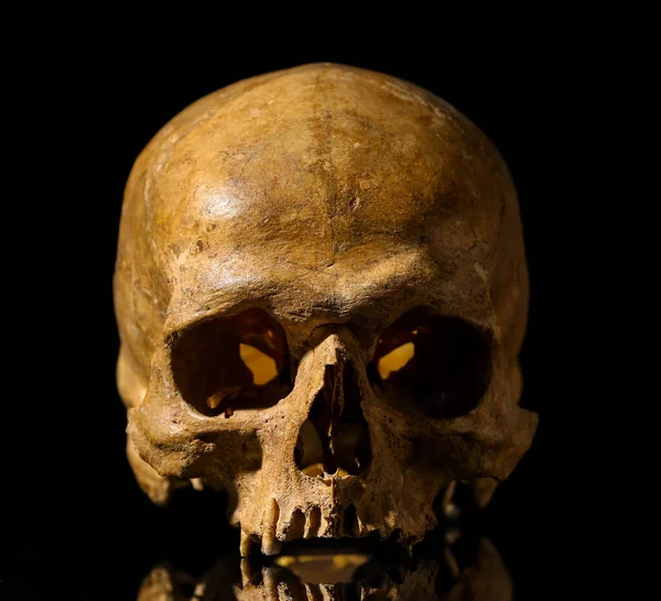 Ancient Human Skull Black Background — стоковое фото