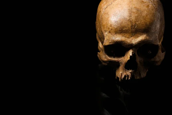 Human Skull Black Background Closeup — 스톡 사진