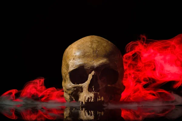 Human Skull Smoke Black Background —  Fotos de Stock