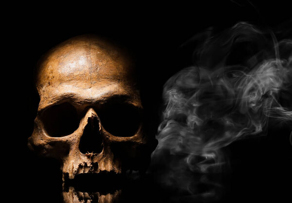 Human skull and smoke on black background