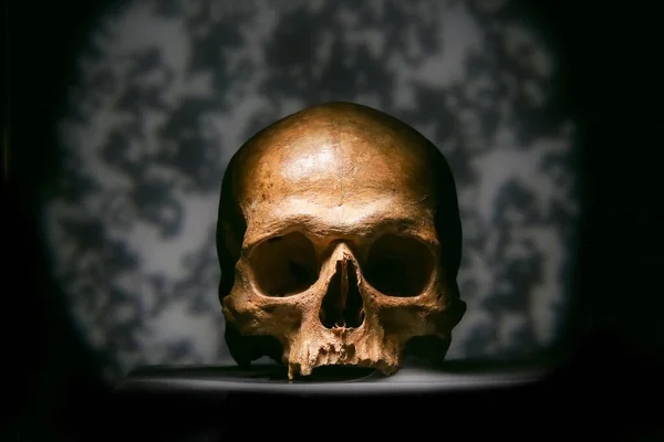 Ancient Human Skull Dark Background — Photo