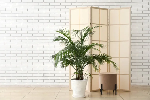 Palm Tree Folding Screen Pouf White Brick Wall — Fotografia de Stock