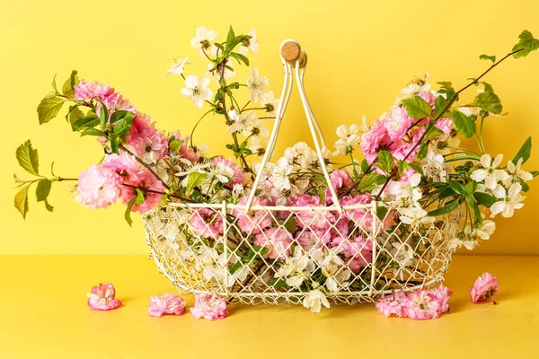 Basket Blooming Branches Table Yellow Wall — Photo