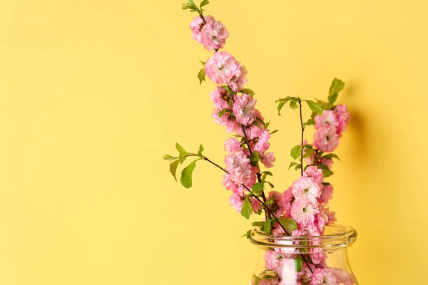 Glass Vase Blooming Branches Yellow Wall Closeup — Stock Photo, Image