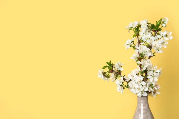 Vase Beautiful Blooming Branches Yellow Wall — Stock Photo, Image