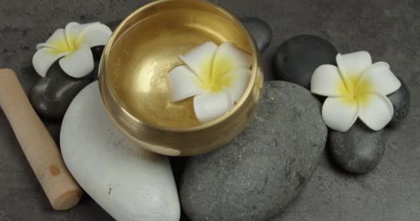 Tibetan Singing Bowl Zen Stones Flowers Grey Background Closeup — Stock Video