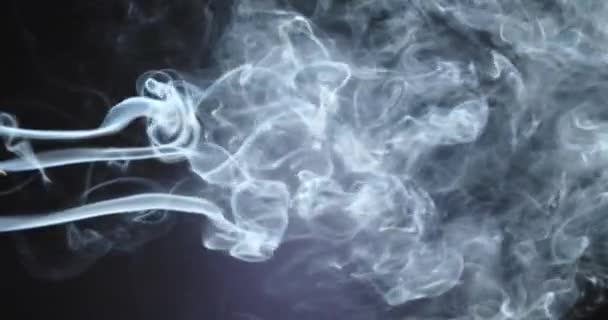 暗い背景に白い煙 クローズアップ — ストック動画