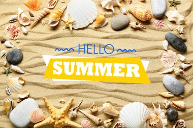 Deniz kabukları ve metin Hello, plaj kumsalında yaz, üst manzara