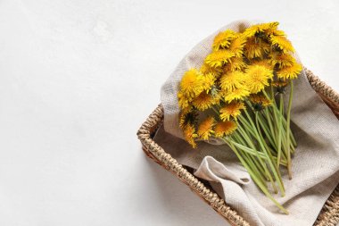 Beyaz arka planda sarı karahindiba sepetleri