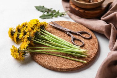 Beyaz arka planda sarı karahindiba ve makasla dur.