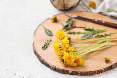 Beyaz arka planda karahindiba ve bıçak olan tahta, yakın plan.