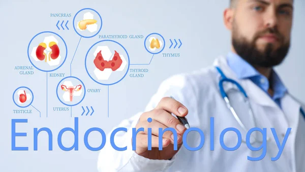 Male Doctor Writing Word Endocrinology Virtual Screen Light Background — Fotografia de Stock