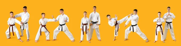 Sarı Arka Planda Karate Hocası Öğrencisi Var — Stok fotoğraf