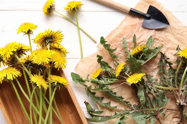 Kutulu sarı karahindiba, parşömen kağıdı ve beyaz ahşap arka planda kürek.