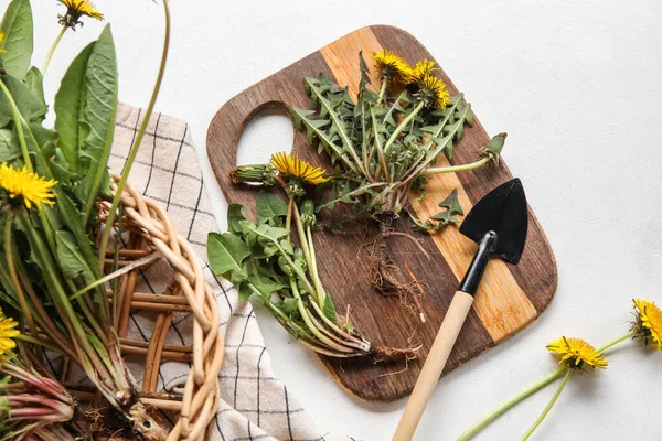 Beyaz arka planda sepet, tahta, kürek ve peçeteli sarı karahindibalar.