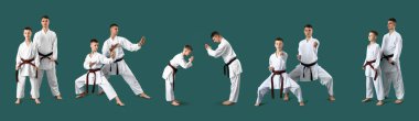 Set of karate instructor and his student on green background clipart