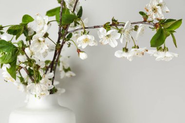 Işık duvarının yanında çiçek açan ağaç dalları olan vazo, yakın plan.