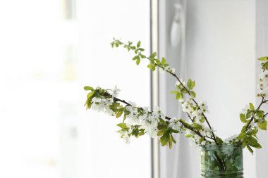 Pencerenin yanında çiçek açan ağaç dalları olan vazo, yakın plan