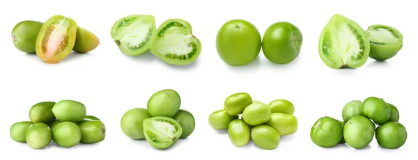 Set Van Verse Groene Tomaten Witte Achtergrond — Stockfoto