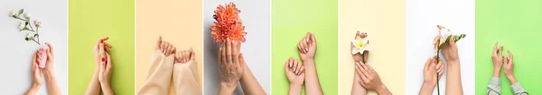 Σετ Γυναικείων Χεριών Όμορφο Μανικιούρ Και Λουλούδια Πολύχρωμο Φόντο Κορυφαία — Φωτογραφία Αρχείου