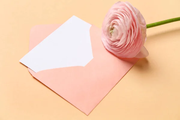 Конверт Порожньою Карткою Рожевою Квіточкою Рунункули Бежевому Фоні — стокове фото